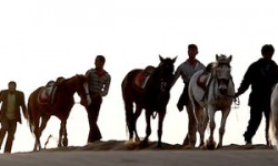 مراحل نهایی تصويربرداري مستند «هنر پيشه اسب‌ها»