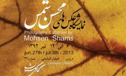 Mohsen-shams