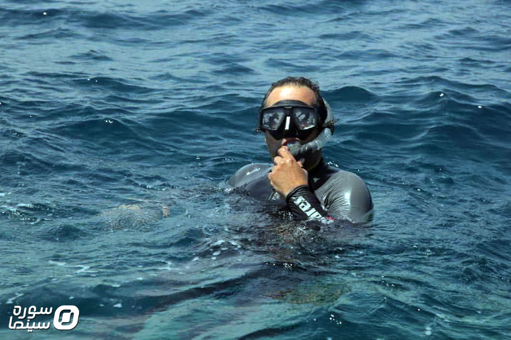 آخرین کوسه نهنگ