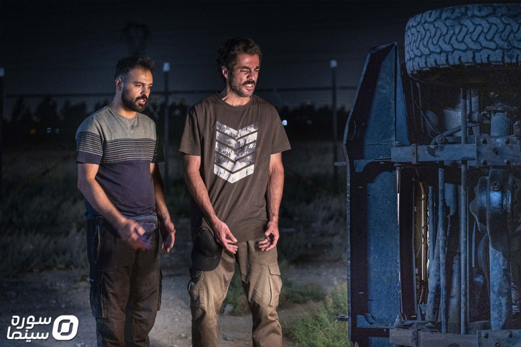 گوزنهای اتوبان