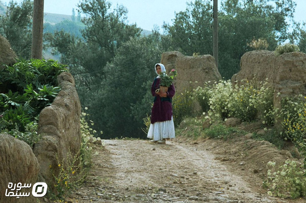 Zire-Derakhtane-Zeytoon